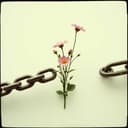 مصر ام الدنيا