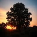 The Paradise behind the Darkness.