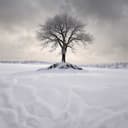 Winterträume im Schnee