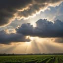 Here I stand by Skyler may 