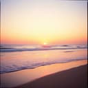 Nunca la dejaré de amar