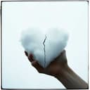 Heartbreak Hidden in the Shadows