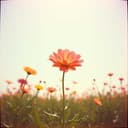 مبروك يا رهف النجاح