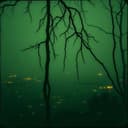 Bayou Moonlight Ride