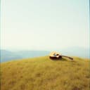 Whispers in the Wind