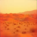 يا أخي اسأل