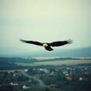 Reserve Class Rising