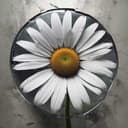 Lección de Miss Cutie