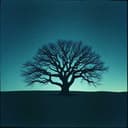 Weit sind wir gekommen