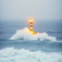 You Light Up My Life