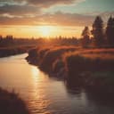 La danza de la vida. Autor: A.A.Mc.V