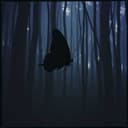 Step Outside This World