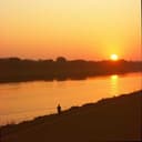 اسامه الغالي