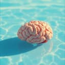 NO ROMPAMOS LA CABEZA