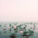 Drifting Through Time