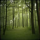 Ngaih San Gimsi Mary Lun