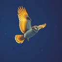 Samuel vole autrement 