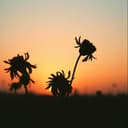 fecha de expiración 