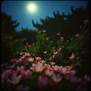 انا و ديينا بقينا لبعض