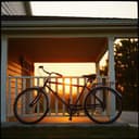 Brothers Under the Sun