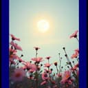 Luz en Mi Melodía Perdida