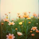 나의 사랑 딸 지수