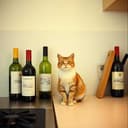 Mama Needs Some Wine 