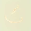 Whispers in the wind