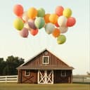 Monika's Golden Smile