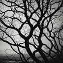 Älskar att jag hatar det