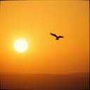 صقر المطيري