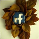 Fumicultores do Brasil