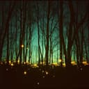 Nga La Kthang Halor Phi