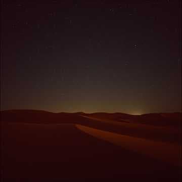 Whispers of the Desert