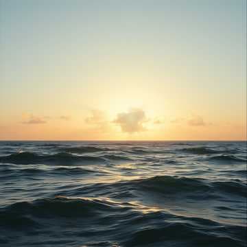 Summer's Glow