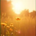 Hija  que nunca tuve 