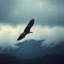 Tek Glava Bez Tijela