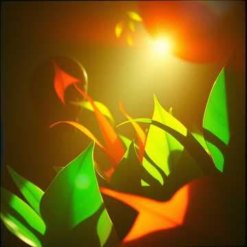 Dancing Shadows