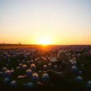 Danish Hearts in Texas Boots