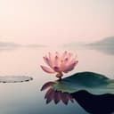 ดวงดาวที่เคยเห็น