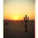 This Is My Goodbye Song