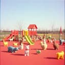 يا الله مع روضات الزيتونة