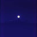 صرخة في الليل