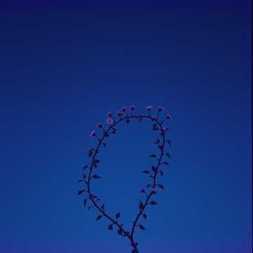 Amore eterno 