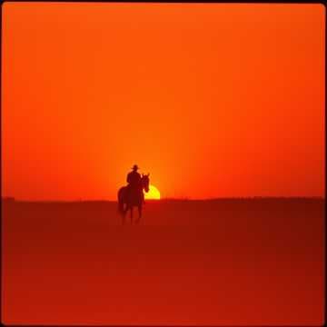 Way of the Gun