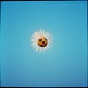 Riverside Rockets Unite