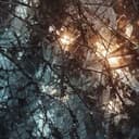 Echoes of My Addiction