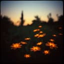 أُغْنِيَتِي لَكِ