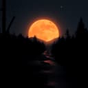 Cloudy Sundays and Coffee