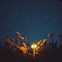 Tell me what you want